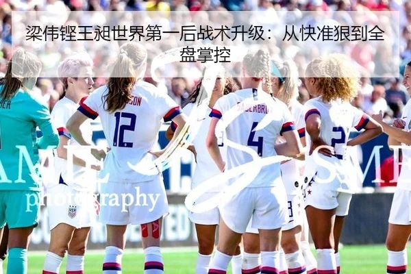 梁伟铿王昶世界第一后战术升级：从快准狠到全盘掌控