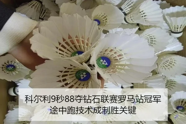 ke-er-li-miao-duo-zuan-shi-lian-sai-luo-ma-zhan-guan-jun-tu-zhong-pao-ji-shu-cheng-zhi-sheng-guan-jian-3-862.jpg