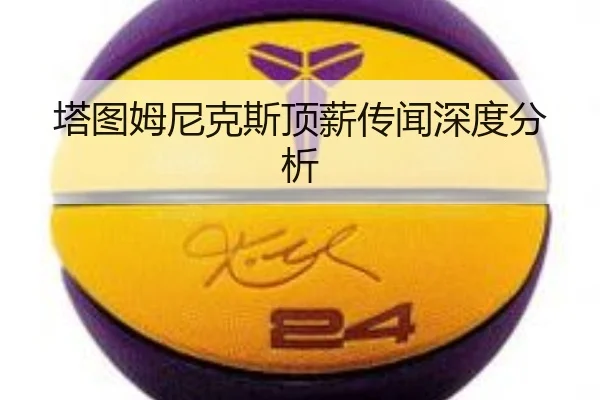 ta-tu-mu-ni-ke-si-ding-xin-chuan-wen-shen-du-fen-xi-2-595.jpg