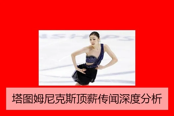 ta-tu-mu-ni-ke-si-ding-xin-chuan-wen-shen-du-fen-xi-3-357.jpg